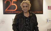 Terele Pávez