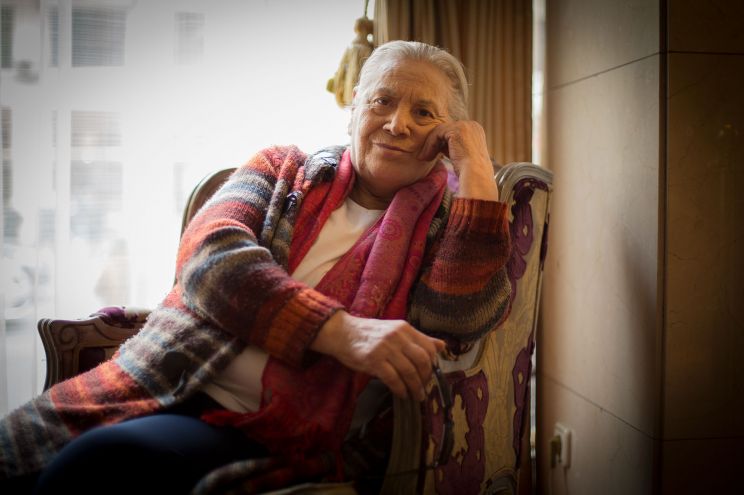 Terele Pávez
