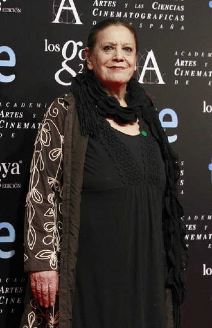 Terele Pávez