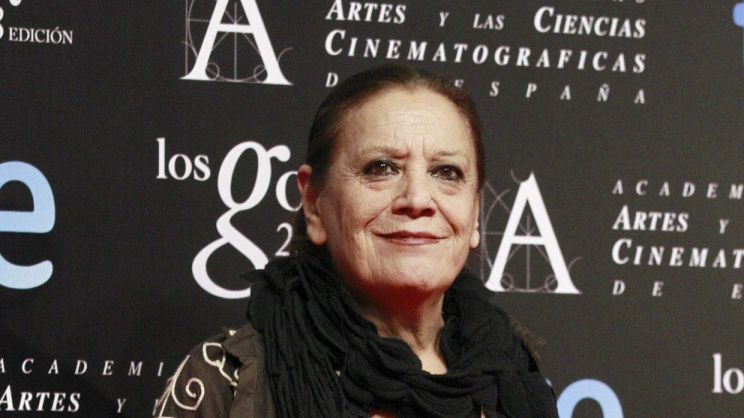 Terele Pávez