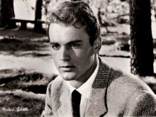 Terence Hill #303988 picture (Landscape Medium)