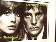 Terence Stamp