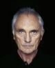 Terence Stamp