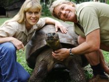 Terri Irwin