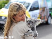 Terri Irwin