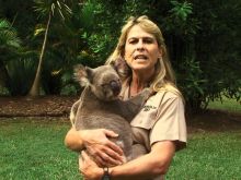 Terri Irwin