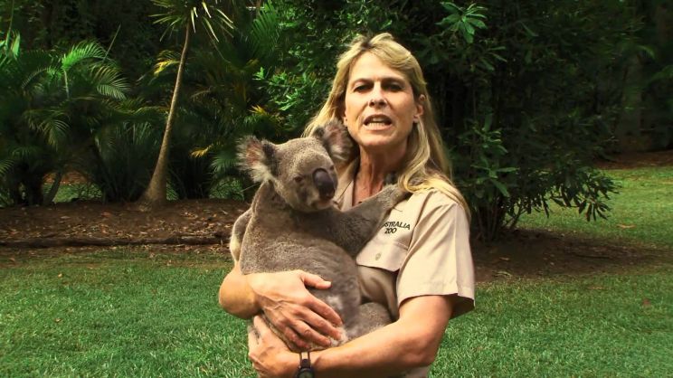 Terri Irwin