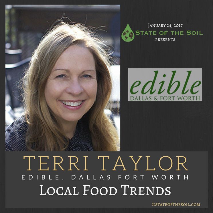 Terri Taylor