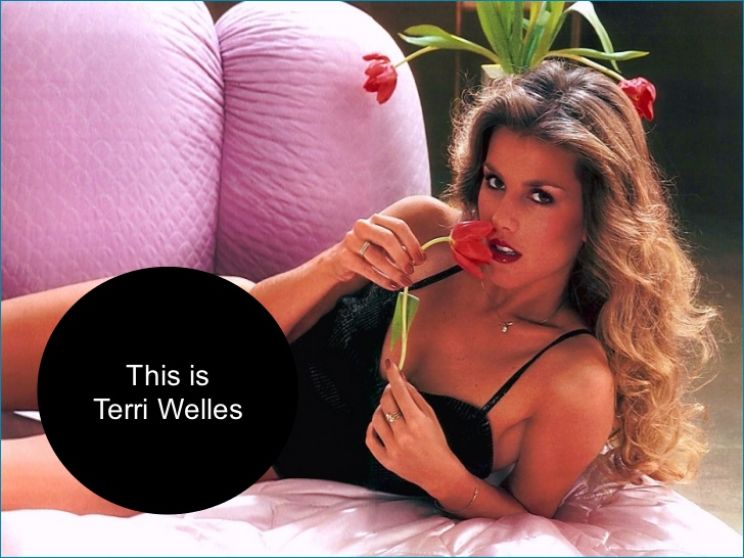 Terri Welles