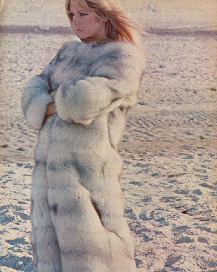 Terri Welles