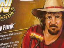 Terry Funk