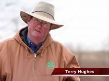 Terry Hughes