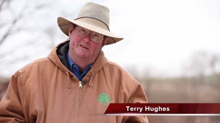 Terry Hughes