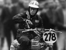 Terry McQueen #3030715 picture (Landscape Medium)