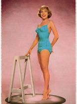 Terry Moore #595653 picture (Portrait Medium)
