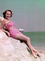 Terry Moore #595662 picture (Portrait Medium)