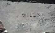 Terry Wills