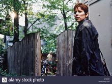 Terrylene