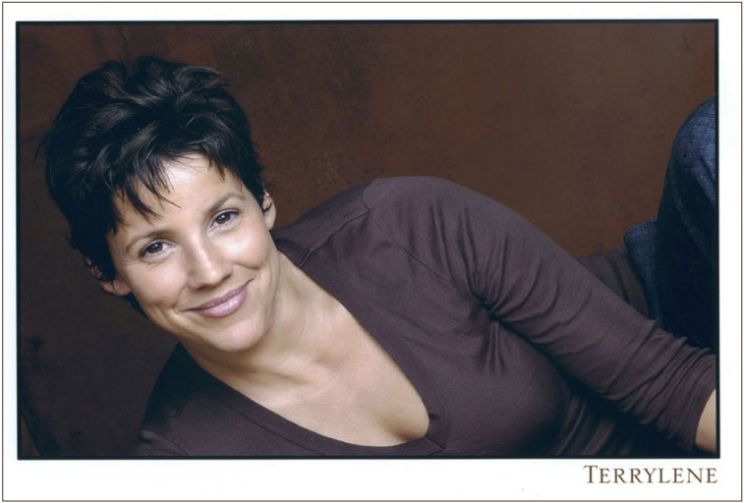 Terrylene