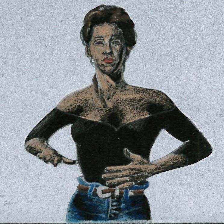 Terrylene