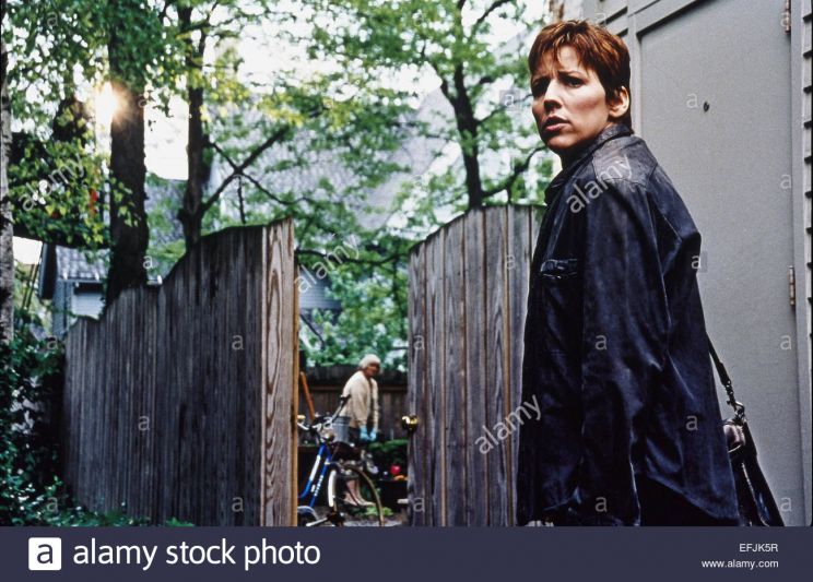 Terrylene