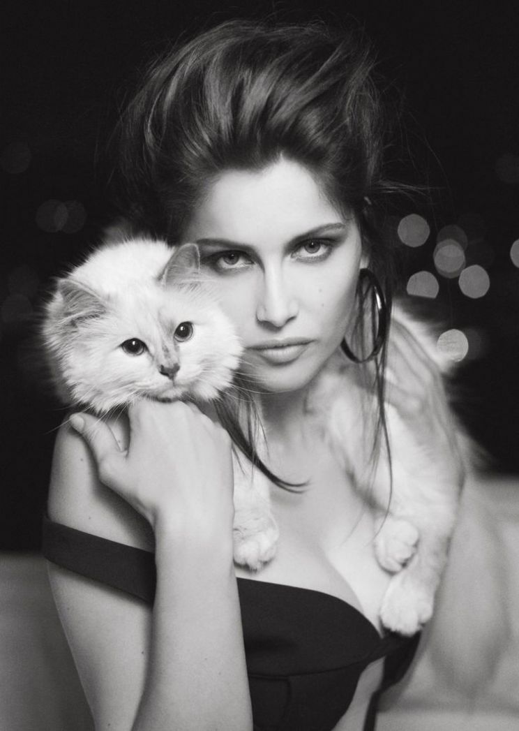 Tess Frazer
