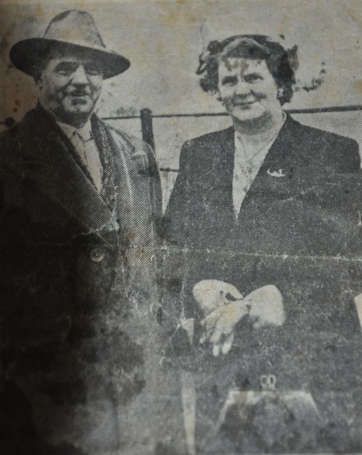 Tessie O'Shea