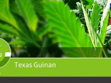 Texas Guinan