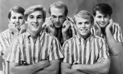 The Beach Boys