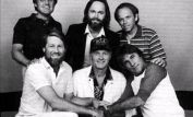 The Beach Boys