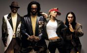 The Black Eyed Peas