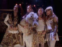 The Cheetah Girls