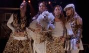 The Cheetah Girls