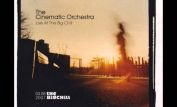 The Cinematic Orchestra