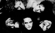 The Cure