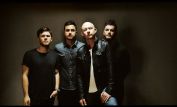 The Fray