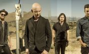 The Fray