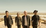 The Fray