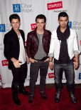 The Jonas Brothers