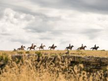 The Magnificent Seven