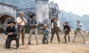 The Magnificent Seven