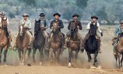 The Magnificent Seven