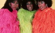 The Pointer Sisters