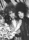 The Pointer Sisters