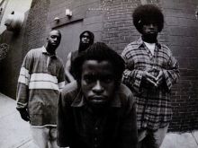 The Roots