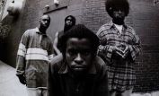 The Roots