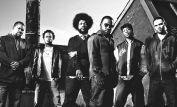 The Roots