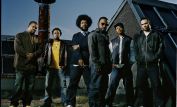 The Roots