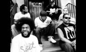 The Roots