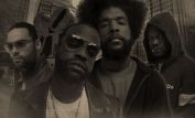 The Roots